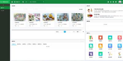 工艺品行业管理信息系统案列